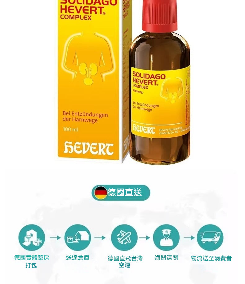 Hevert菲德 急慢性泌尿道感染尿頻尿痛下腹不適 100ml滴劑