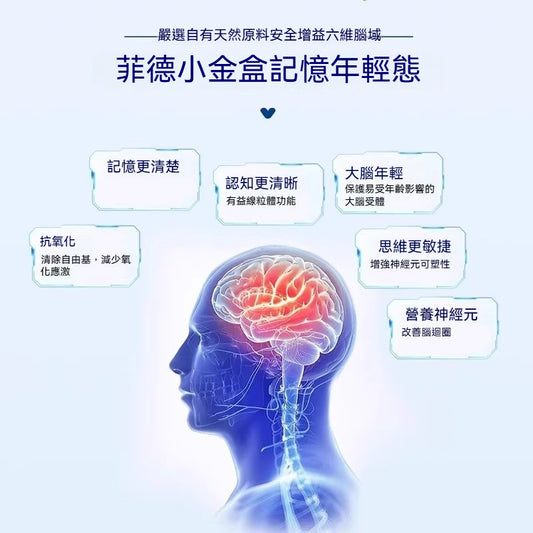 Hevert 菲德 Ginkgo Biloba 銀杏葉 小金盒-減緩動脈硬化 100 Stk.