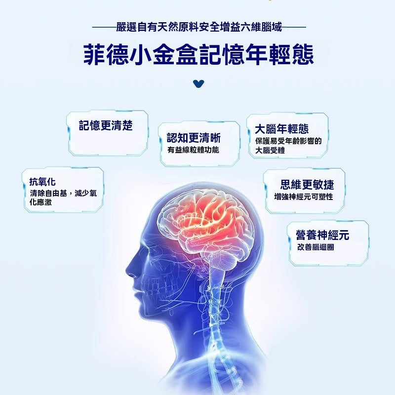 HEVERT菲德 銀杏葉片提取物 老年健忘、唸書補腦 保健品 300片